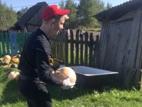 Ганцевичские спасатели и активисты помогли пенсионерке с уборкой урожая