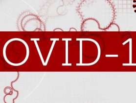 Первая годовщина Covid-19 на Ганцевщине: как это было