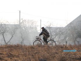 Погода в Ганцевичах: в среду +17, а в субботу гроза
