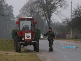 Какая будет погода в Беларуси в первой половине недели 2-4 октября 2023