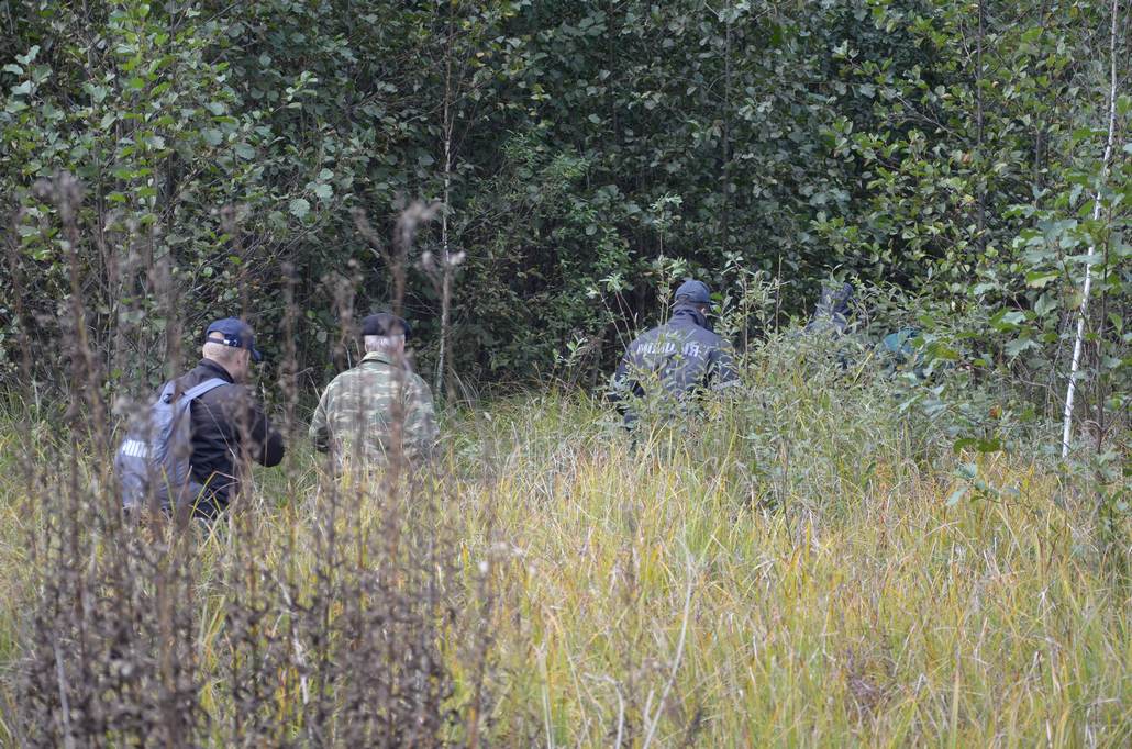 В выходные в Ганцевичском районе - масштабные поиски пропавшей пенсионерки