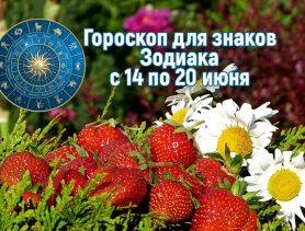 Скорпионам нужно навести порядок в доме, а весам – навести порядок в отношениях. А что ожидает вас на этой неделе? Гороскоп.