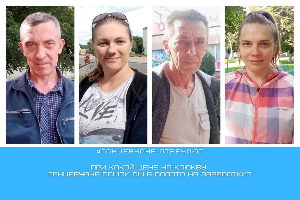 При какой цене на клюкву ганцевчане пошли бы в болото на заработки
