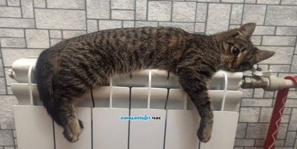 На 2 апреля в Беларуси объявлен оранжевый уровень опасности