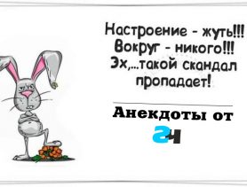 “Как я переживаю за свою жену! – А что с ней? – С ней моя машина!” Анекдоты от ГЧ