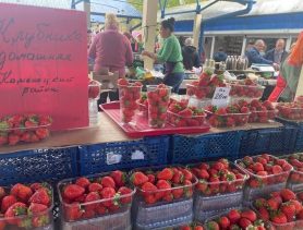 На рынках появились свежий картофель, арбузы и клубника