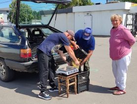 В ожидании дешевой картошки: какие цены на рынках в Ивацевичах, Ганцевичах и Бресте