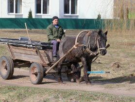 Деревня вымирает, а хозяйство разваливается на глазах бывшего председателя колхоза