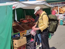 Появились черника и лисички: какие цены на рынках в Ивацевичах, Ганцевичах, Бресте и в Польше