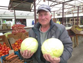 Как заквасить капусту: проверенный рецепт и цены на овощи в Ганцевичах, Ивацевичах, Берёзе и Бресте