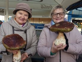 Цена на белые грибы в Минске зашкаливает