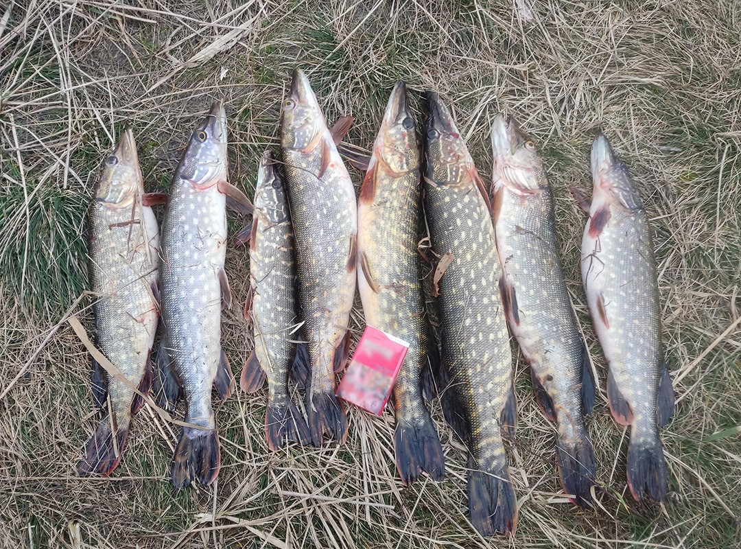 Ловят рыбаки