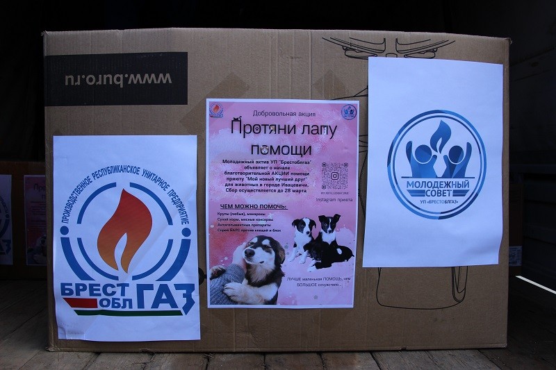 Молодежь "Брестоблгаза" провели акцию в поддержку ивацевичского приюта