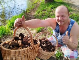 Где в Беларуси собирают грибы: съедобные и несъедобные