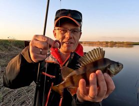 На какую приманку хорошо ловится рыба в водоёмах Беларуси