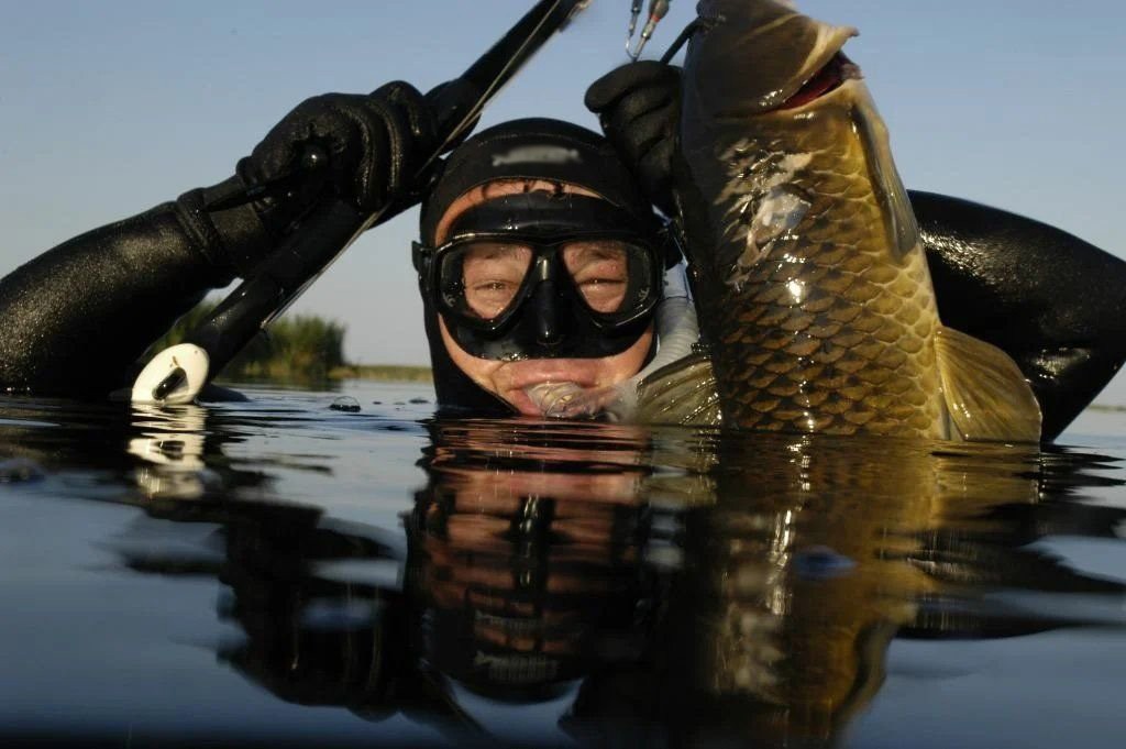 Подводная охота на рыбу разрешается на реке Припять и других водоёмах Брестской области.