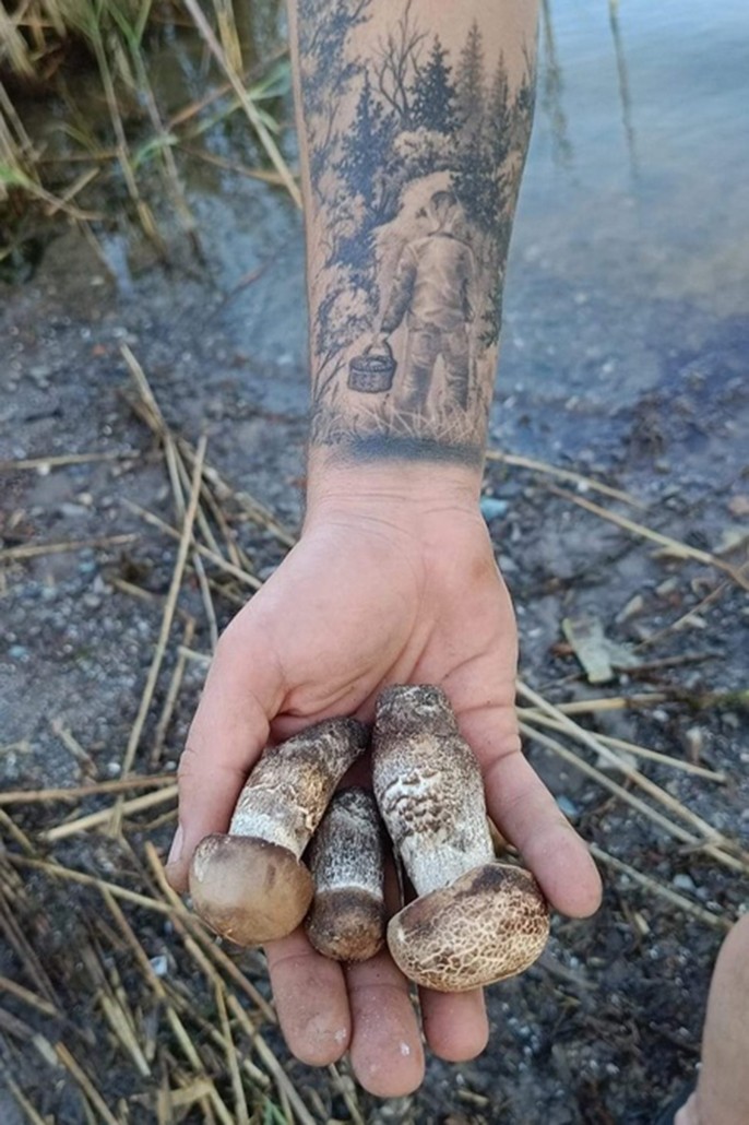 грибник по жизни