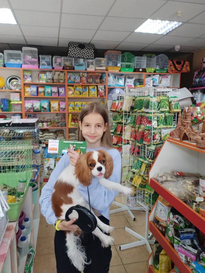 Как распорядятся призами победители конкурса домашних питомцев