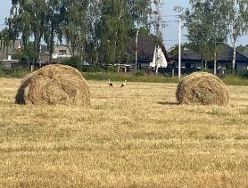 В Брестской области объявили оранжевый уровень опасности