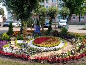Самая красивая клумба к «Дожинкам» в Ганцевичах? Проголосуйте!