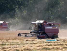 Кто лидирует, а кто плетется в хвосте в жатве-2023 в Брестской области?