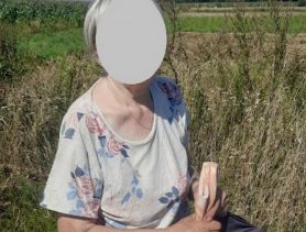 Заблудилась в кукурузе: в Брестской области спасатели искали пенсионерку