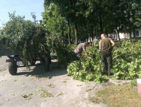 “Десять минут ада”: в Брестской области пронёсся ураган