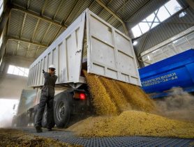 Брестская область отжалась первой: хозяева «Дожинок-2023» в хвосте