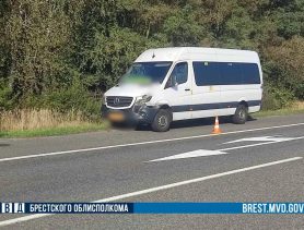 Маршрутка сбила оленя на трассе М1 недалеко от Бреста