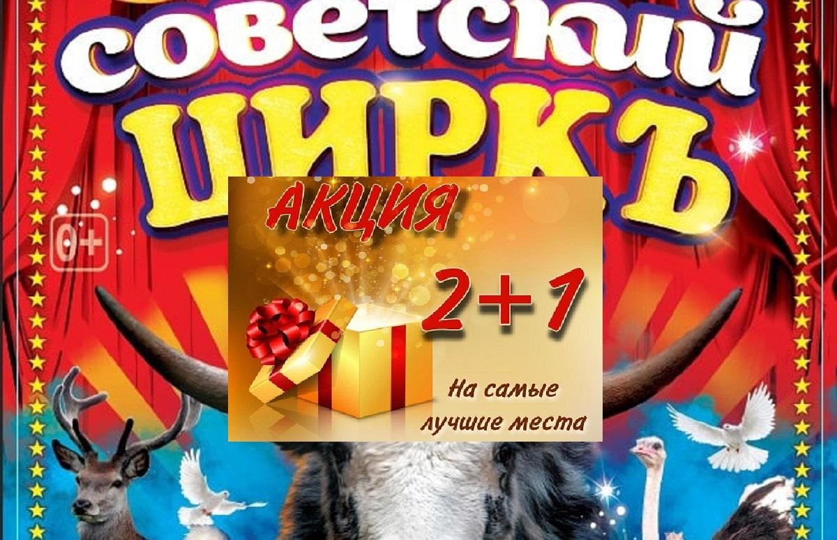 цирк жалоба