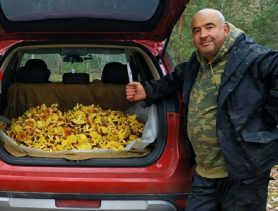 Зелёнки и рыжики: что ещё собирают грибники Беларуси в начале ноября