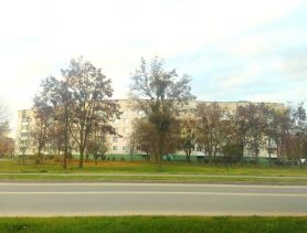 Небольшие дожди, туман: какая погода будет после больших выходных