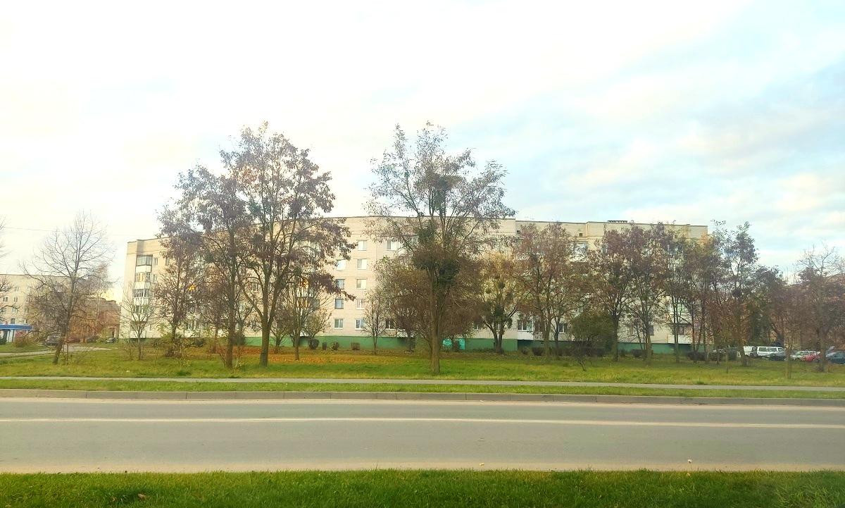 погода ивацевичи