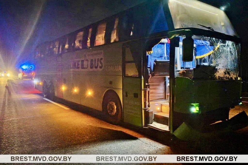 Туристический автобус насмерть сбил пешехода на трассе М1 в Березовском районе