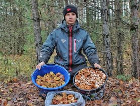 В Беларуси в ноябре грибников в лесах толпы. Что находят?