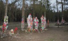 Ізбійскі бор дрэвы