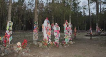 Культавыя дрэвы Палесся: Ізбійскі бор у Ганцавіцкім раёне