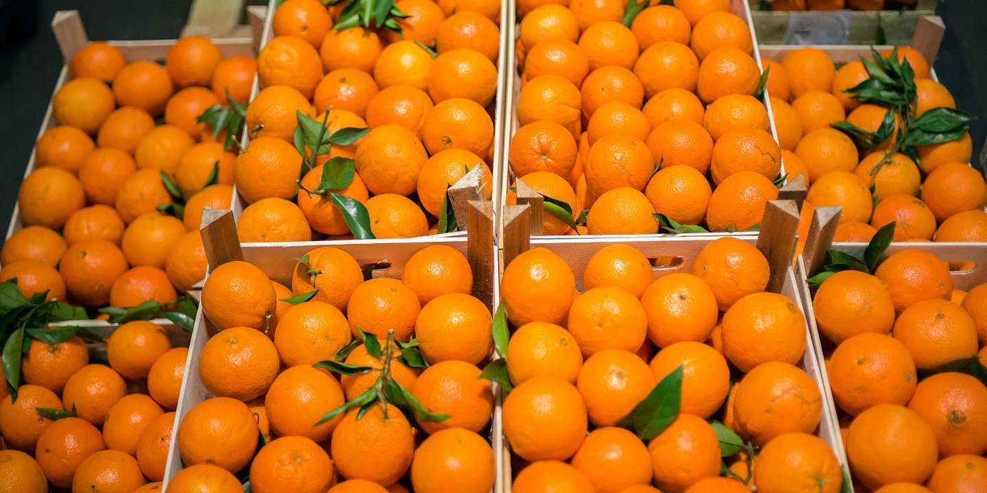 вывоз продукции с нарушениями