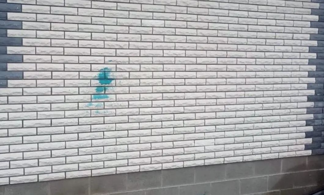 Дрогичин дом зелёнка