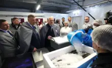 ФОРЕЛЬ В БЕЛАРУСИ