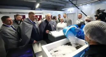 Беларусь уходит в форель: старые рыбхозы в убытках, новые – в планах