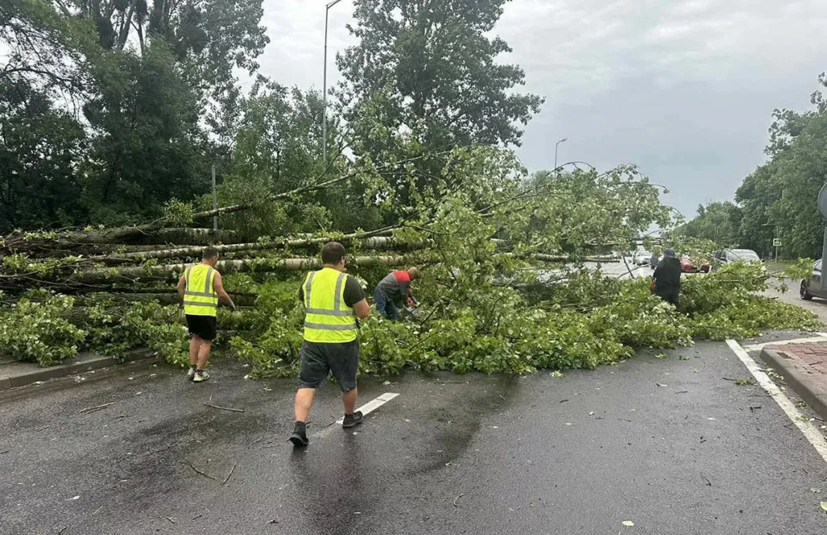 Циклон «Приска» навалял деревьев и во многих городах и деревнях люди сбдели без электричества. Фото иллюстративное