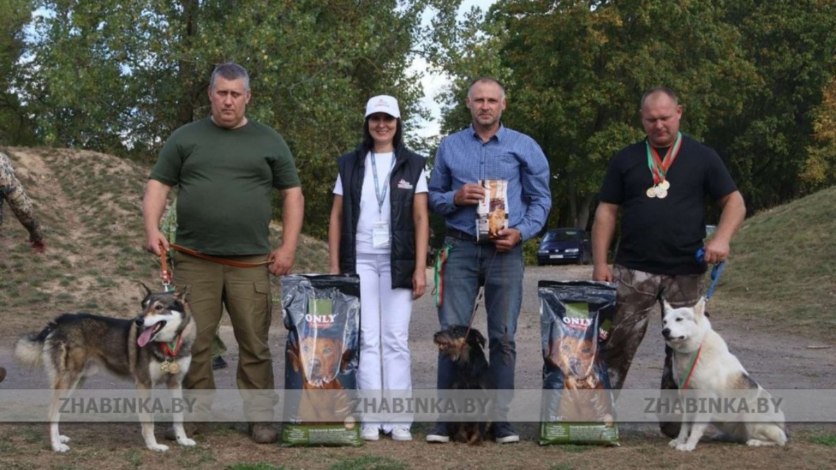 выставка охотничьих собак