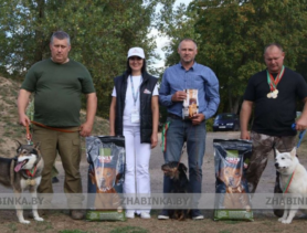 Ганцевичская лайка Талаш стала чемпионом Брестчины