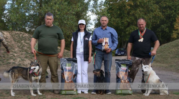 Ганцевичская лайка Талаш стала чемпионом Брестчины