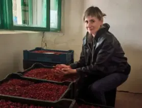 Жители Слуцкого района зарабатывают на клюкве с 14 сентября