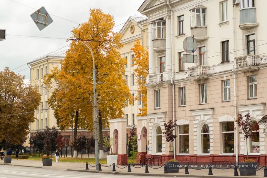 школа