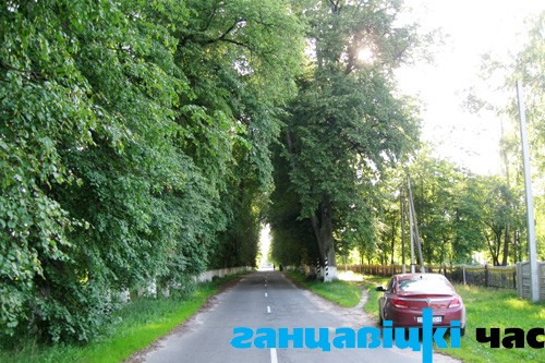 Прыдарожная ліпавая алея