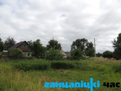 Тэрыторыя за плотам ганцаўчанкі Ніны Гатоўч зарасла пустазеллем