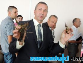 На Ганцаўшчыне будуць разводзіць ракаў